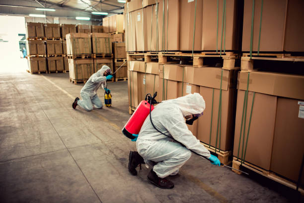 Best Pest Inspection Near Me  in Corrigan, TX