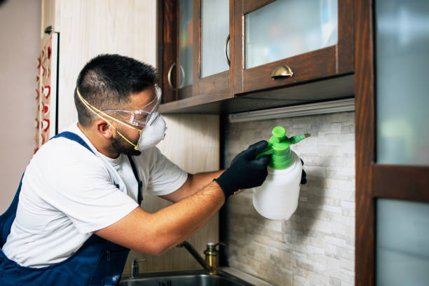 Best Insect Control  in Corrigan, TX