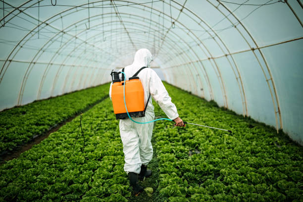 Best Best Pest Control Companies  in Corrigan, TX
