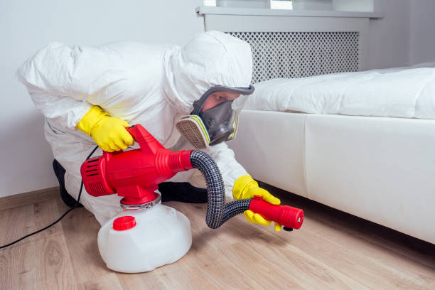 Best Emergency Pest Control  in Corrigan, TX