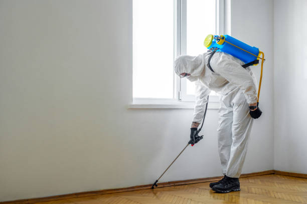 Best Rat Extermination Near Me  in Corrigan, TX