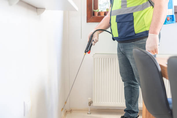 Best Ant Control Services  in Corrigan, TX