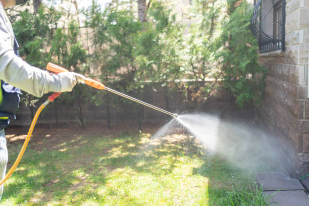 Best Pest Control Near Me  in Corrigan, TX