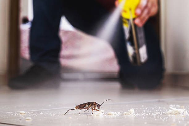 Best Affordable Pest Control Services  in Corrigan, TX
