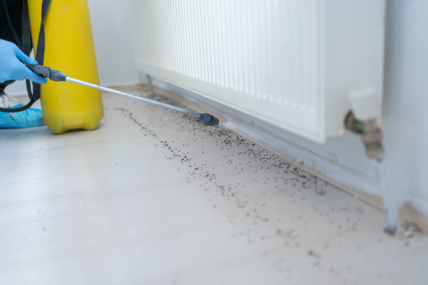  Corrigan, TX Pest Control Pros