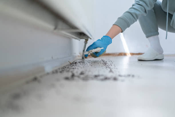 Best Best Pest Control Companies  in Corrigan, TX
